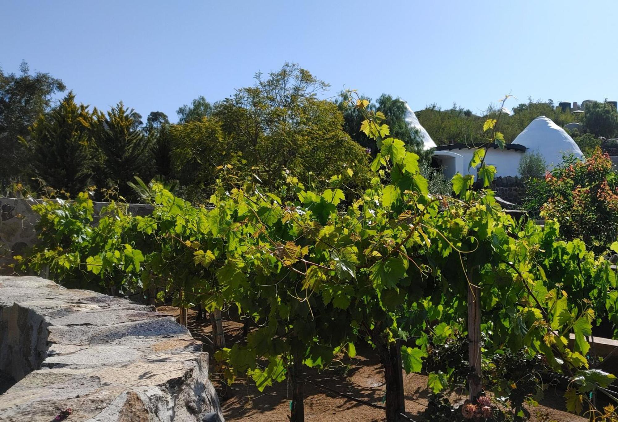 장크트 고아르스하우젠 Hacienda Eco-Domes 빌라 외부 사진